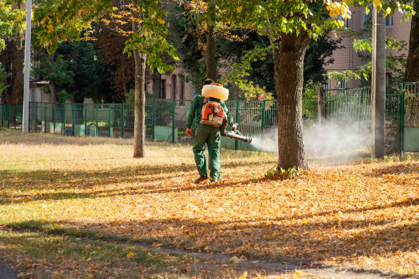 Best Wildlife Control Services  in High Springs, FL