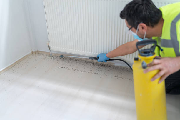 Pest Control for Restaurants in High Springs, FL